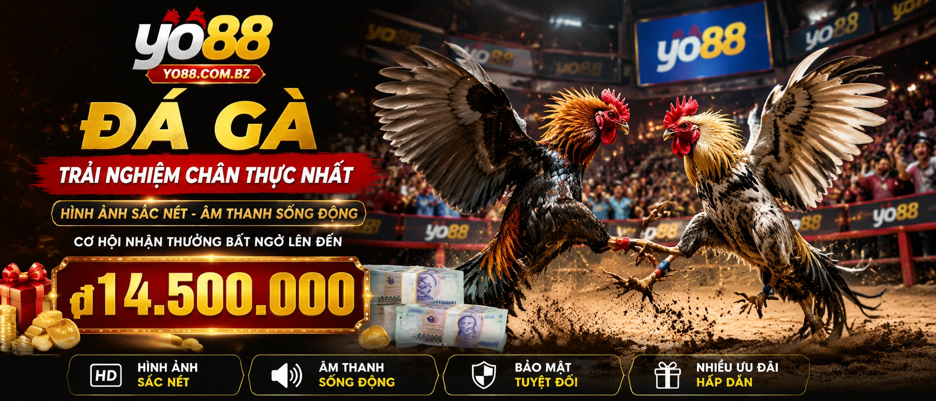 Đá Gà Trực Tiếp trên yo88.com.bz